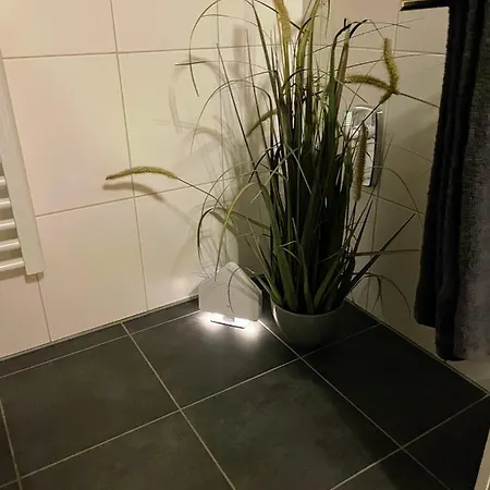 Zur Wiege Anhalts * Ballenstedt