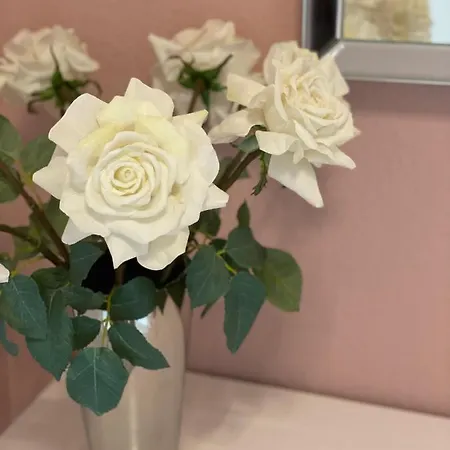 Zur Wiege Anhalts Ballenstedt