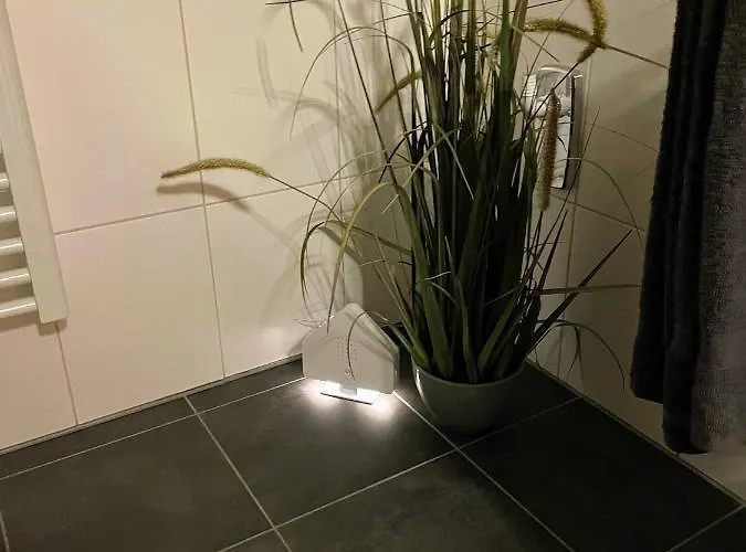 Zur Wiege Anhalts * Ballenstedt