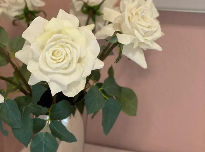 Zur Wiege Anhalts 巴伦施泰特